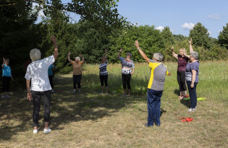 Gymnastik im Kreis auf der Wiese, alle strecken die Arme nach oben